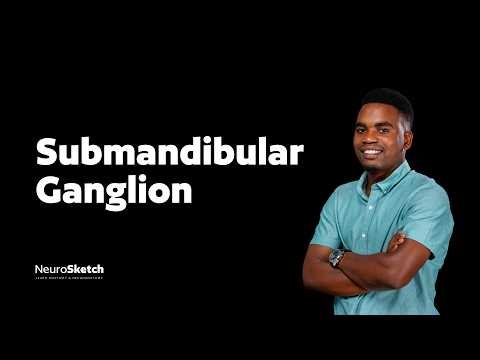 Submandibular Ganglion Made Simple: Pathway, Roots, and Function