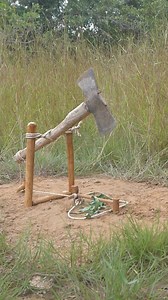 238K views · 607 reactions | survival instincts alone _ wild boar trapping skills #trap #short #tiktok #summer #famous #hunting #reelslovers #reelsvideoシ #reelstrending #followerseveryone | Sokkula Jeesi | Facebook