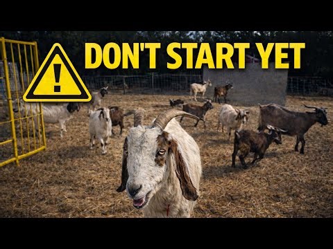 How to Start Raising Goats (Beginner Step-by-Step Guide)