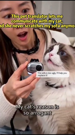 The World’s 1st Real-Time Pet Translator Understand and chat with your pets with two-way translation