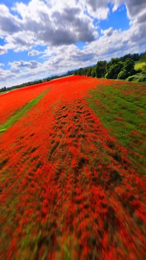 Flying Through Dimensions ❤️👽 . Show some Love to our Talented Pilot ❤️ . Music : Smalltown Boy by . #drone #opticalart #colorful #flying #dreams #nature | Justtripit