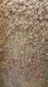 new design bridal work use message box for details whats app for queries, 0092334 3247644 #bridaldress #weddingdress #Pakistaniwedding #Asianwomenfashion #Asianwomendresses #Pakistanisuits #Indianweddingdresses | Gorgeous fashion