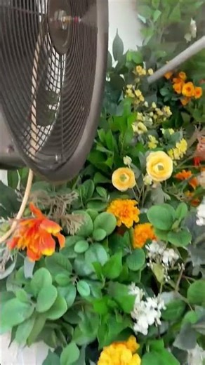 Innovative Outdoor Cooling Systems