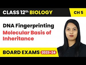DNA Fingerprinting - Molecular Basis of Inheritance | Class 12 Biology Chapter 5 | CBSE 2024-25