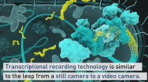 2K views · 48 reactions | A toolmaker of modern biology: As part of ETH Day celebrations tomorrow, Randall Platt will be awarded the ETH Zurich Latsis Prize in recognition of his exceptional work in the field of genome engineering. https://ethz.ch/en/news-and-events/eth-news/news/2019/11/randall-platt-receives-the-eth-latsis-prize.html | ETH Zürich | Facebook