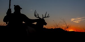 What We've Done to Deer Hunting?