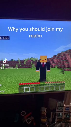 #realm #minecraft #bedrock #minecraftrealm code in bio