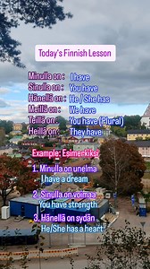 Finnish Lesson #12 Possessive structure #studyingfinnish #learnfinnish #finnishlesson @followers | Finnish explorer