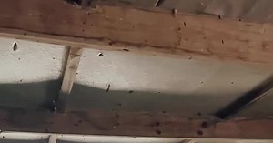 VIDEO Najhorúcejšia fanúšička z MS 2018 Natali Andreeva a jej strelnica