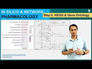 Network Pharmacology (Part 7) | KEGG and Gene Ontology Analysis | ShinyGO and DAVID database