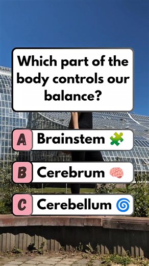 ⚖️ Body Balance Controller! #brainteaser #puzzle #quiz #fun | Think Fast