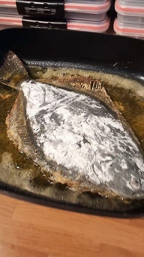 Giant Fried Flounder 🐟🔱 Whole flounder, lightly dusted with flour & lemon pepper, fried in heaps of butter 🤌 Best served with eggs & salad 🥚🌿 Simple, Crispy, Kiwi az it gets 🇳🇿 #fishing #flounder #friedflounder #westcoast #summer #kiwi #foodie #berserkfishingnz #berserkfeeds | Berserk Fishing NZ