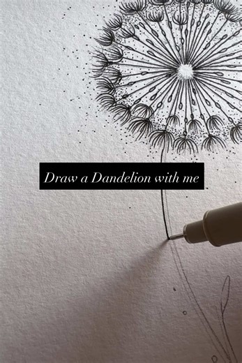 Draw a Dandelion with me! 🩶. #dandelion #tattoo #drawing #inkdrawing #art