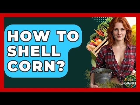 How To Shell Corn? - The World of Agriculture