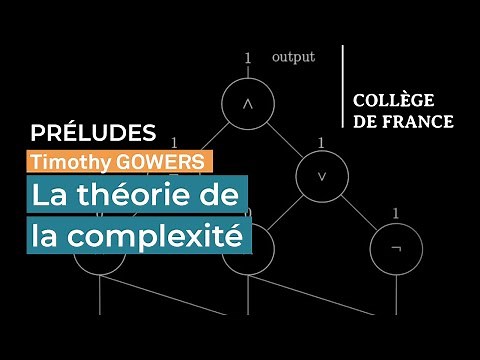 La théorie de la complexité - Timothy Gowers