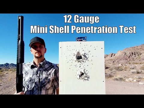 Aguila Mini Shells & Federal Shorty 12 Gauge Shotgun Shells - Are They Effective for Self Defense?
