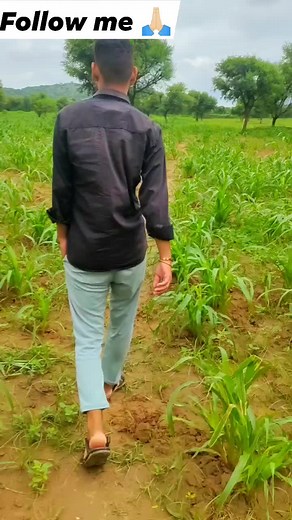 4.7K views · 25 reactions | We Made Powerful Snake Experiment video #fbreels #meta #experiment #science #snake | JP Experiment | Facebook