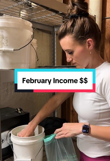 Laundromat Girl on TikTok