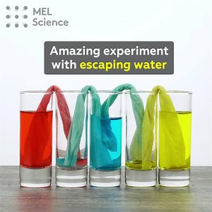 This is just SO colorful😍 For step-by-step instructions go here: https://mel.sc/sR_/ For cool and safe experiments to do at home, sign up for MEL Science here: https://mel.sc/sSA/ | MEL Science