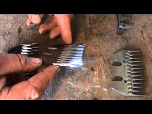 Shearing - The difference between shearing combs and cutters, different types.