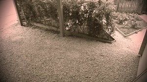 10:00 -11:00