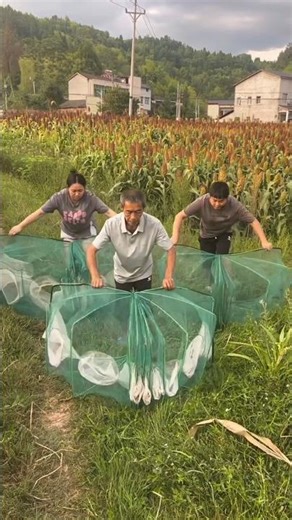 Ninja fishing techniques in the Chin 🤯 #shortsvideo