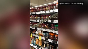 Seltener Kunde im Supermarkt: Drei Meter langer Diamantpython ragt aus Gewürzregal hervor