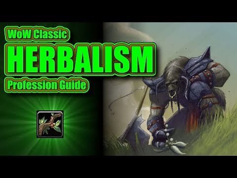 WoW Classic: Your Complete Herbalism Profession Guide and Leveling 1-300!