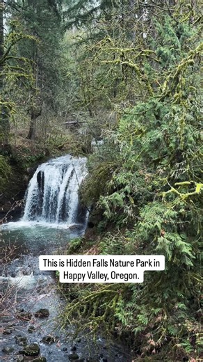 Hidden Falls Nature Park isn’t the biggest plant-filled public space in the Pacific Northwest, but that won’t stop it from taking your breath away 💚 | Portland Nursery