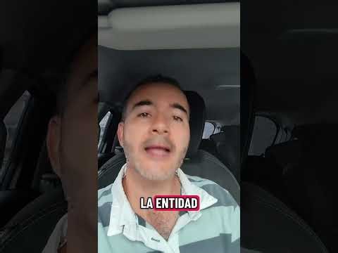 What do I need as an IPS or freelancer to generate RIPS in JSON format?