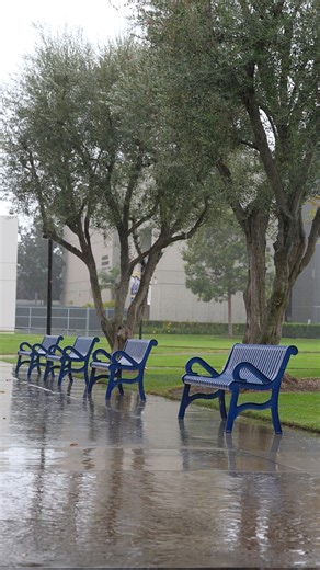 Cypress College on Instagram: "Stay dry, Chargers! 🔷 ☔"