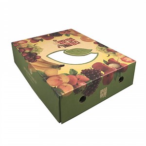 [Hot Item] Packaging Carton Paper Boxes for Fruit Packing