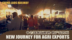 502K views · 657 reactions | With fertile lands suitable for cultivation, a pristine natural environment, and the incorporation of advanced agricultural knowledge acquired in China, coupled with modernized farming practices, the people of Laos are embarking on a journey to explore the export of their agricultural products. | CGTN | Facebook