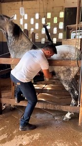 Sayit Çelik on Reels