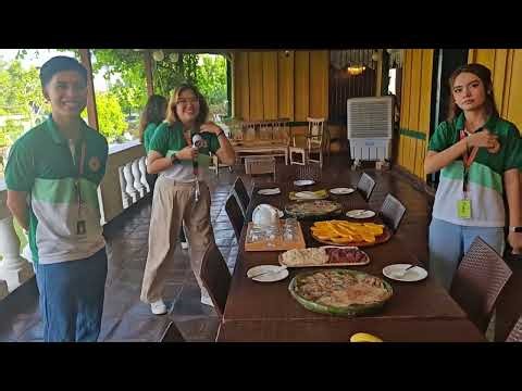 Eat, Walk & Discover Old Cebu 🇵🇭 Heritage Food Tour at Casa Gorordo & Parian