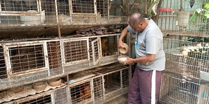 Football coach Shedu turns to poultry farming – VIDEO