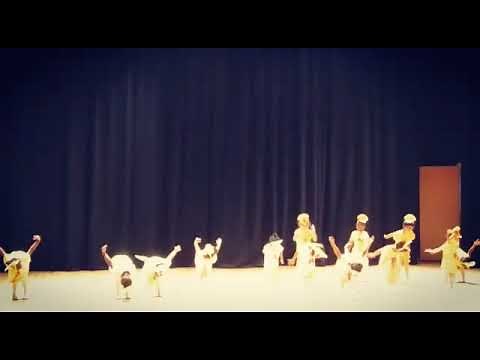 chicken dance - 1st ballet recital