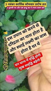 #👉 3 नवंबर कार्तिक मास सोमवार की प्रदोष व्रत त्रयोदशी तिथि के दिन प्रत्येक महिला करें #ytshorts