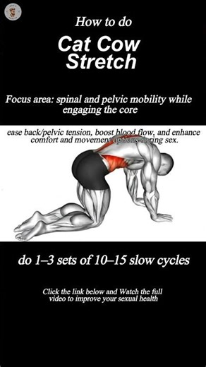 How to Perform Cat Cow Stretch With Perfect Form