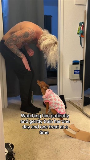 Puppy Training Tips: Teaching 'Up' to Your Dog