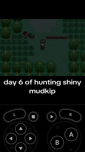 day 6 #mudkip #pokemon #shiny #shinypokemonhunting | Mudkip Pokemon