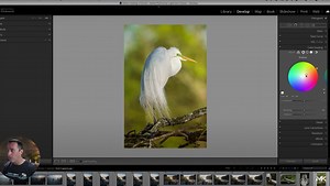 5 Helpful Tips for Working in Lightroom