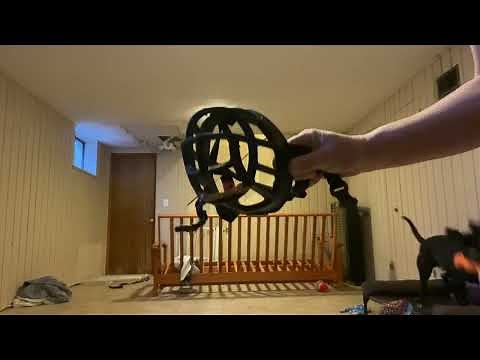 How to Put on a Baskerville Muzzle