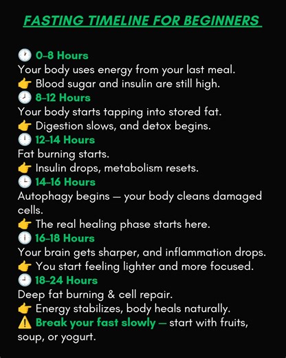 Fasting timeline for beginners. | Curediseasex