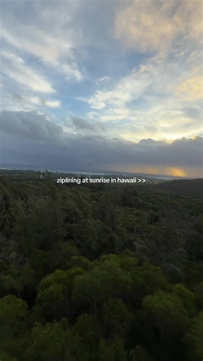 best view of the sunrise overlooking the ocean while ziplining through the treetops #zipline #adventure #oahu #hawai