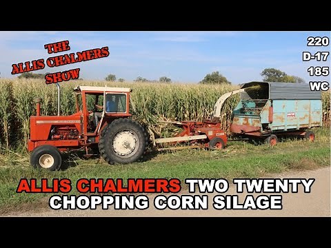 Allis Chalmers Show: Two Twenty Chopping Corn Silage On Family Farm