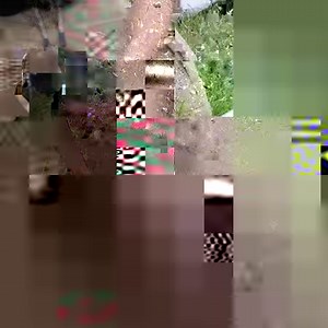 DIY Foot Water Pump | Bored Panda Art