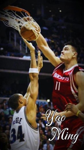 This 7’6” Superstar Shocked the Whole NBA! 💥🏀 #dunk #nostalgia