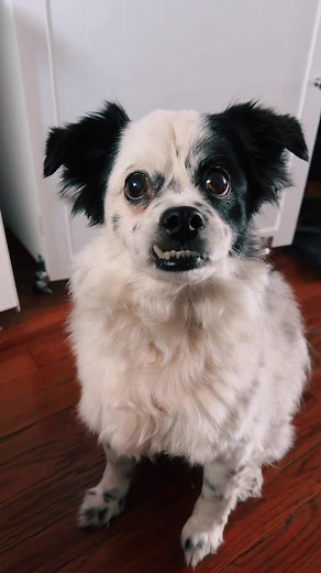 Ethan Slater Smirk Compilation: SpongeBob Memes Included!