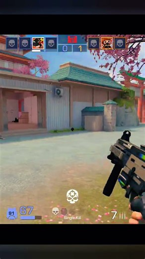 Flawless FPS Highlights